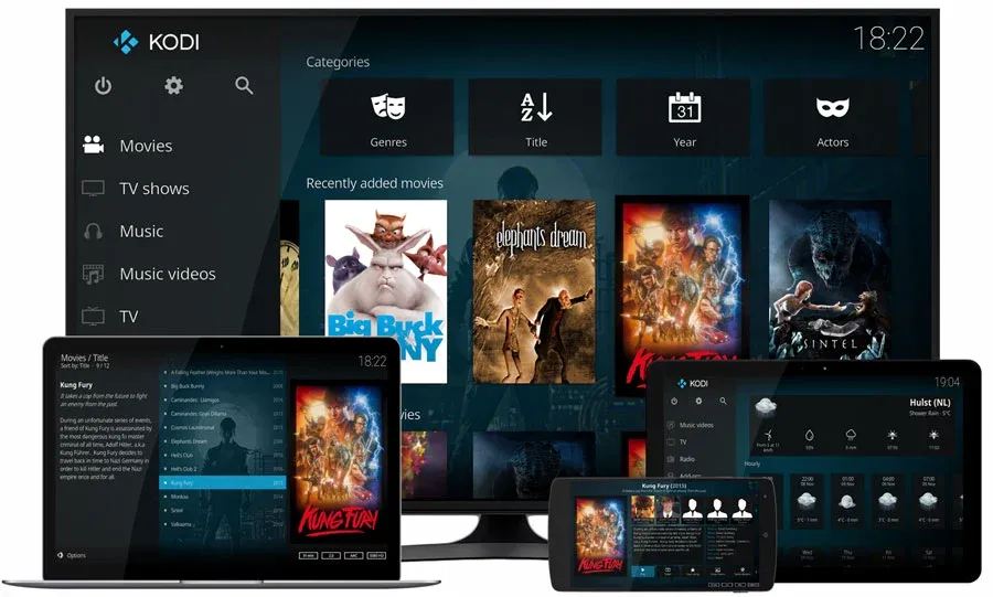 Subtitles not showing up in Kodi Fix