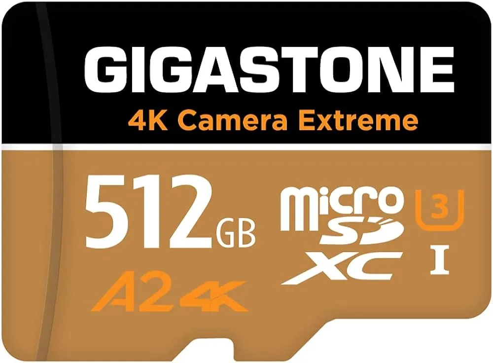 5 Best SD Cards for GoPro Cameras