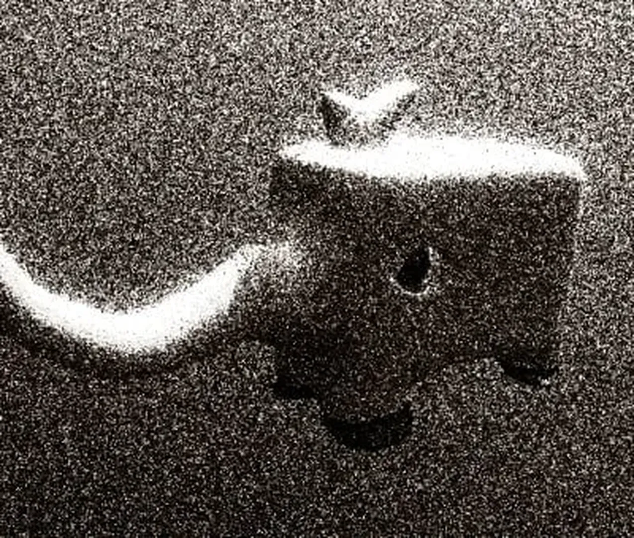 The Backrooms: All Creatures and Entities